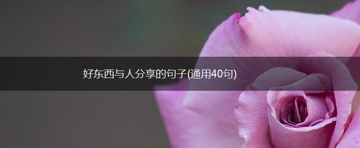 好东西与人分享的句子(通用40句),第1张