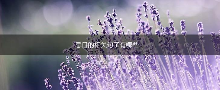 忌日的相关句子有哪些,第1张