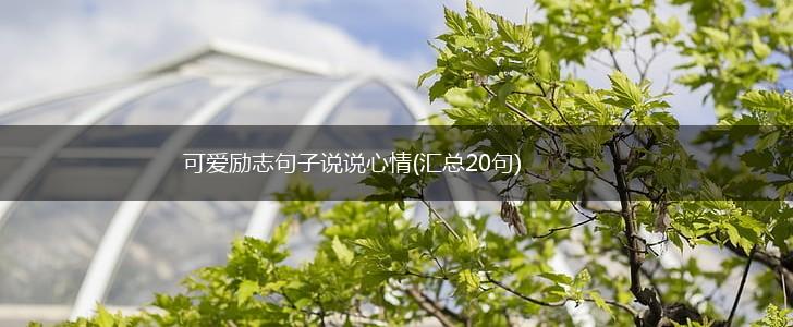 可爱励志句子说说心情(汇总20句),第1张