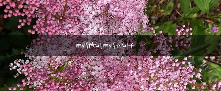 重婚造句,重婚的句子,第1张