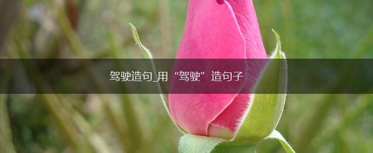 驾驶造句_用“驾驶”造句子,第1张