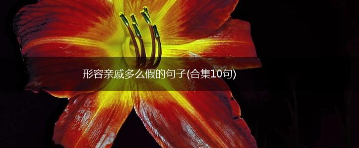 形容亲戚多么假的句子(合集10句),第1张
