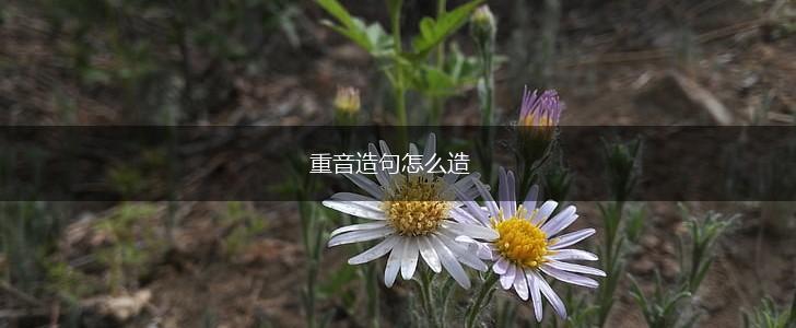重音造句怎么造,第1张