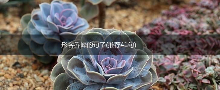 形容乔峰的句子(推荐41句),第1张