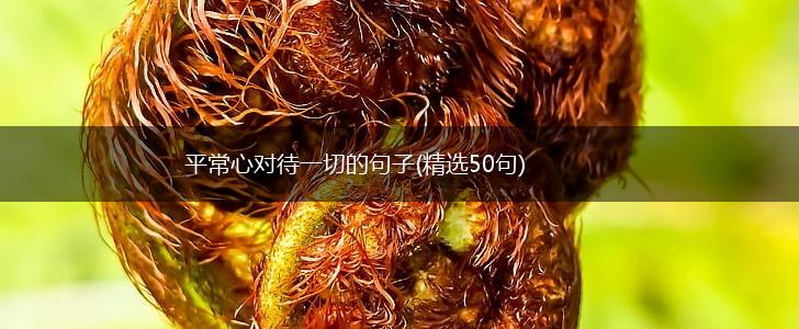 平常心对待一切的句子(精选50句),第1张