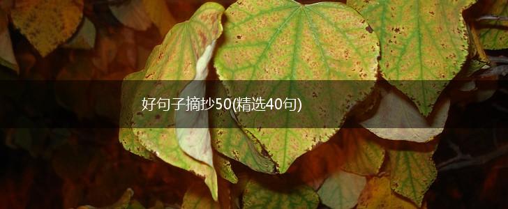 好句子摘抄50(精选40句),第1张