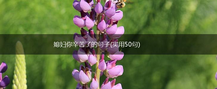 媳妇你辛苦了的句子(实用50句),第1张