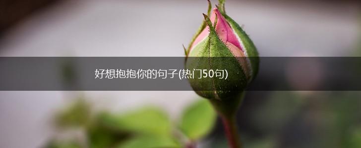 好想抱抱你的句子(热门50句),第1张