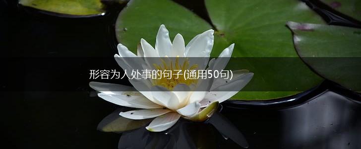 形容为人处事的句子(通用50句),第1张