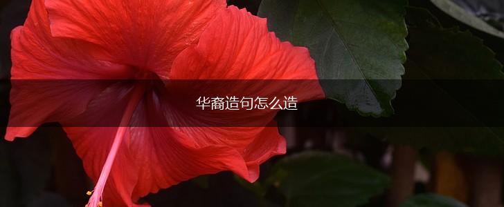 华裔造句怎么造,第1张