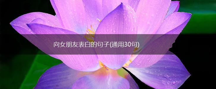 向女朋友表白的句子(通用30句),第1张