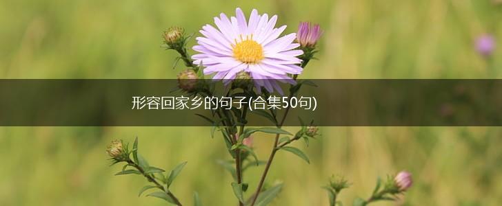 形容回家乡的句子(合集50句),第1张