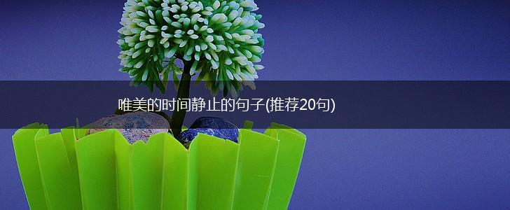 唯美的时间静止的句子(推荐20句),第1张