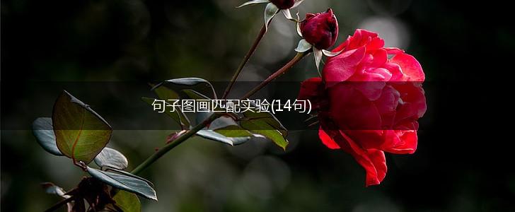 句子图画匹配实验(14句),第1张