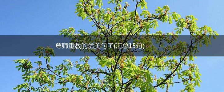 尊师重教的优美句子(汇总15句),第1张