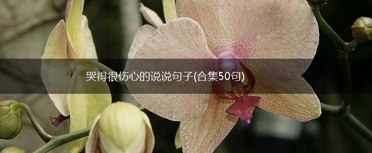 哭得很伤心的说说句子(合集50句),第1张