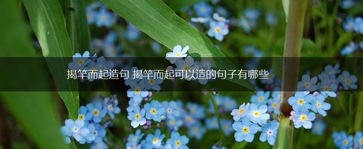 揭竿而起造句 揭竿而起可以造的句子有哪些,第1张