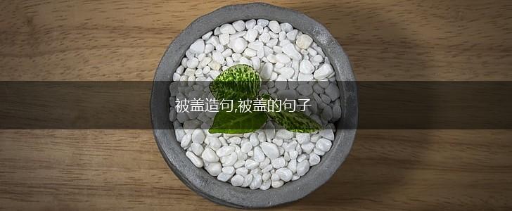 被盖造句,被盖的句子,第1张
