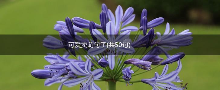 可爱卖萌句子(共50句),第1张