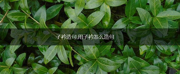 子衿造句,用子衿怎么造句,第1张