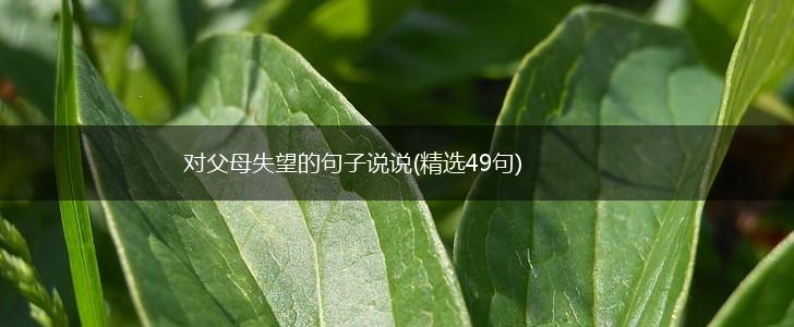 对父母失望的句子说说(精选49句),第1张