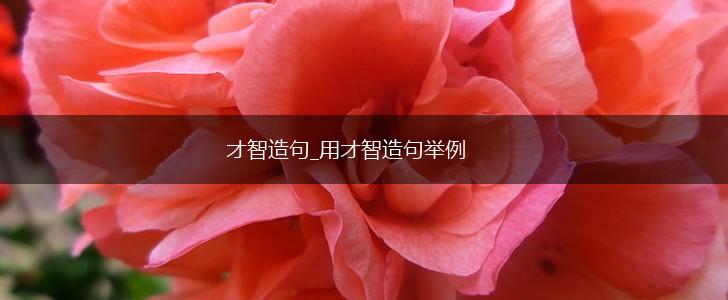 才智造句_用才智造句举例,第1张