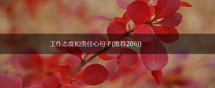 工作态度和责任心句子(推荐20句),第1张