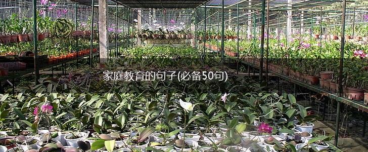 家庭教育的句子(必备50句),第1张