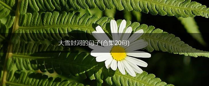 大雪封河的句子(合集20句),第1张
