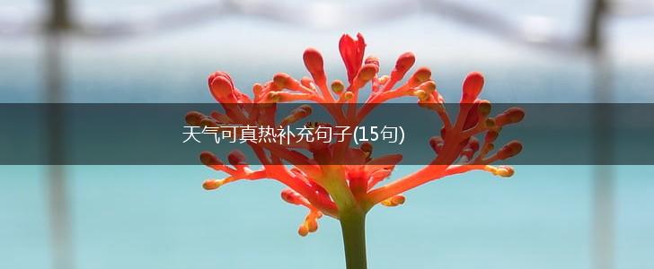 天气可真热补充句子(15句),第1张