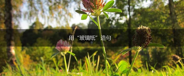 用“玻璃纸”造句,第1张