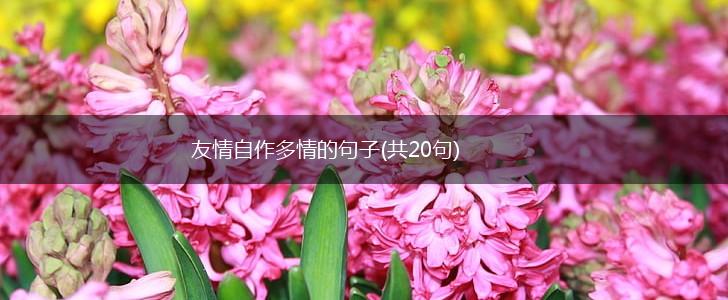 友情自作多情的句子(共20句),第1张