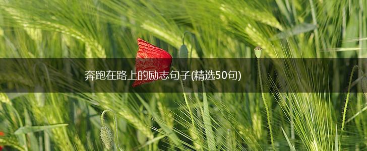奔跑在路上的励志句子(精选50句),第1张