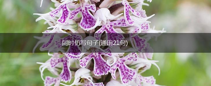 同时仿写句子(通用21句),第1张