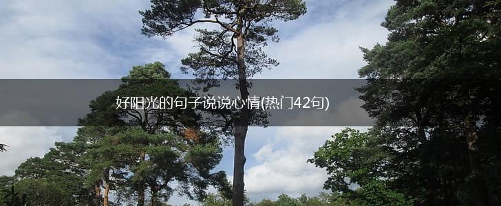好阳光的句子说说心情(热门42句),第1张