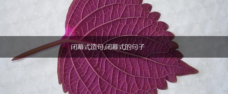 闭幕式造句,闭幕式的句子,第1张
