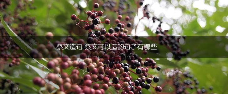 祭文造句 祭文可以造的句子有哪些,第1张