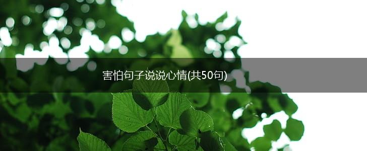 害怕句子说说心情(共50句),第1张