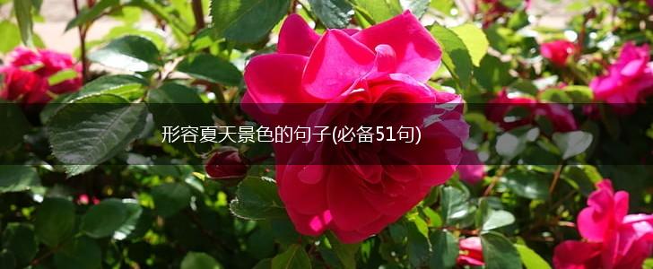 形容夏天景色的句子(必备51句),第1张
