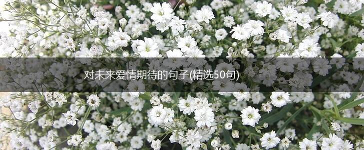 对未来爱情期待的句子(精选50句),第1张