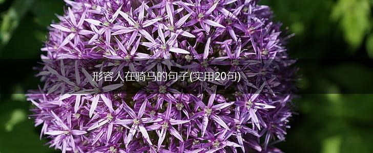 形容人在骑马的句子(实用20句),第1张