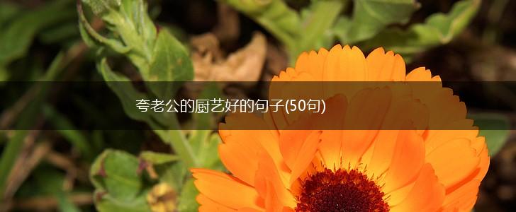 夸老公的厨艺好的句子(50句),第1张