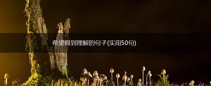 希望得到理解的句子(实用50句),第1张