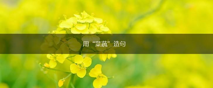 用“菜蔬”造句,第1张