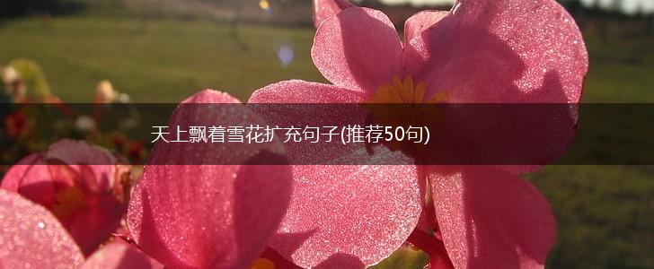 天上飘着雪花扩充句子(推荐50句),第1张