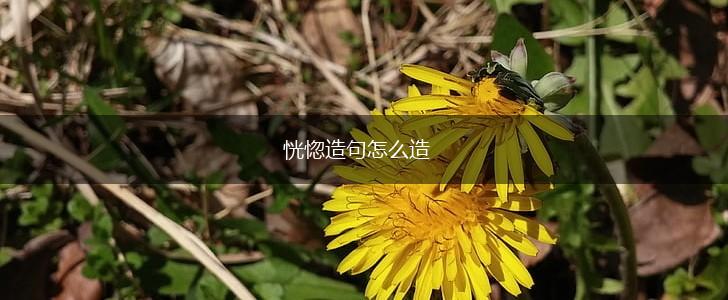 恍惚造句怎么造,第1张
