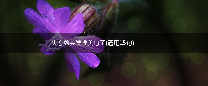 失恋剪头发唯美句子(通用15句),第1张