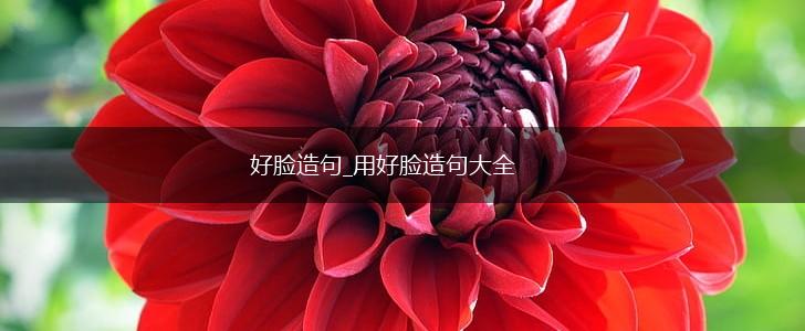 好脸造句_用好脸造句大全,第1张