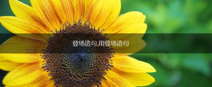 登场造句,用登场造句,第1张