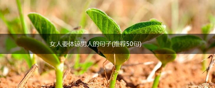 女人要体谅男人的句子(推荐50句),第1张